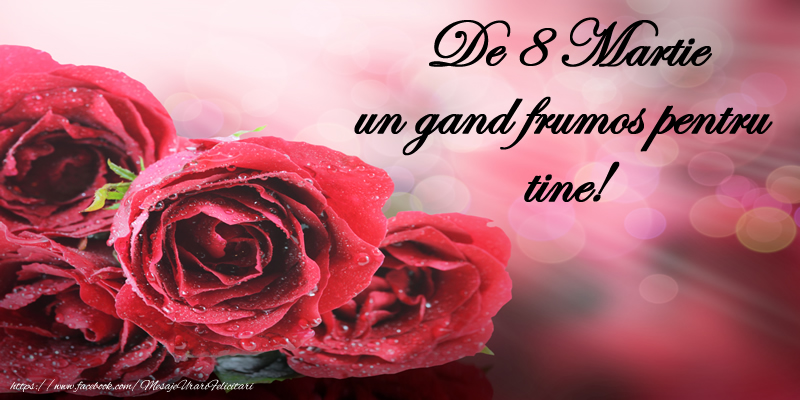Felicitari de 8 Martie - De 8 Martie un gand frumos pentru tine! - mesajeurarifelicitari.com