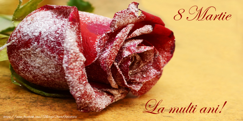 8 Martie La multi ani!