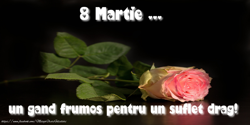 Felicitari de 8 Martie - 8 Martie ... un gand frumos pentru un suflet drag! - mesajeurarifelicitari.com