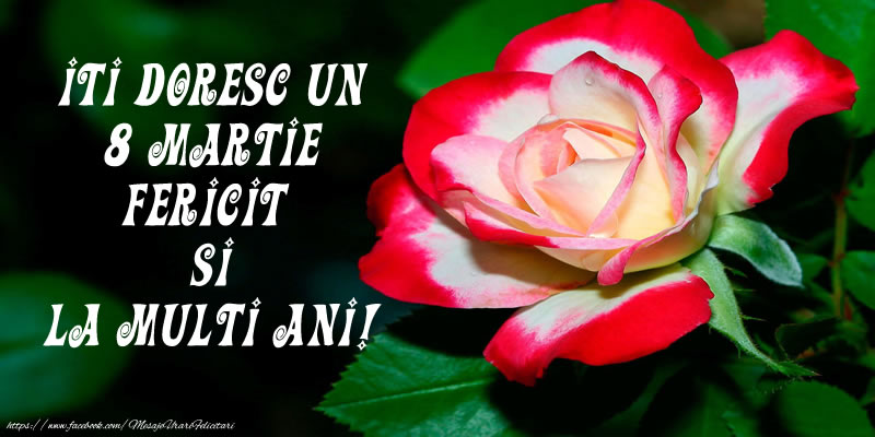 Iti doresc un 8 Martie Fericit si La multi ani!