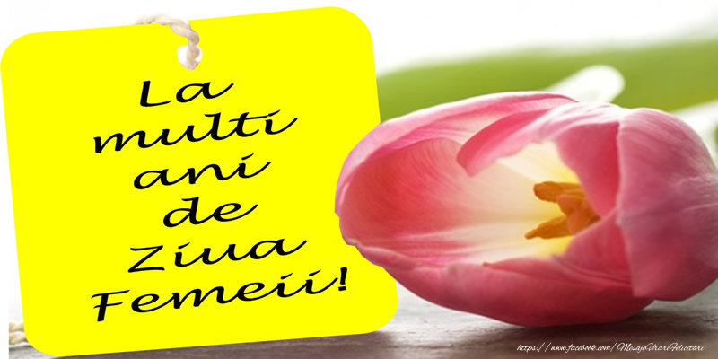 La multi ani de ziua femeii!