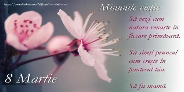 8 Martie Minunile vietii ... sa fii mama!
