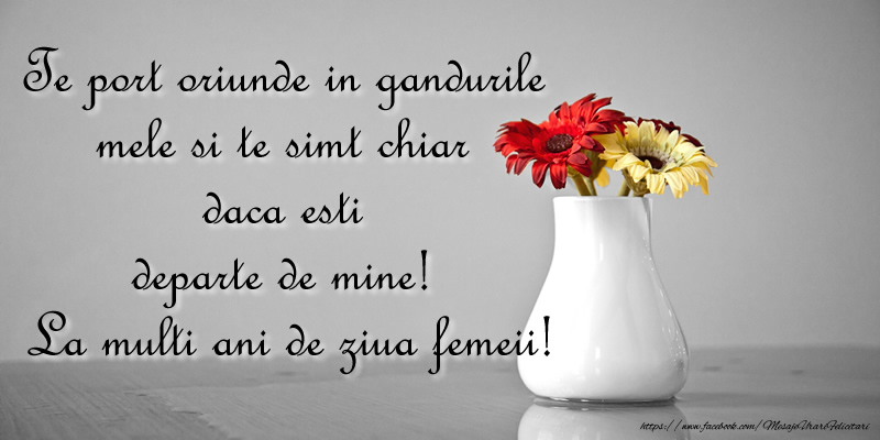 Te port oriunde in gandurile mele si te simt chiar daca esti departe de mine!  La multi ani de ziua femeii!