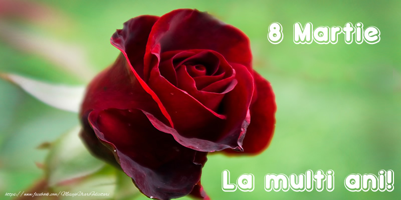 8 Martie La multi ani!