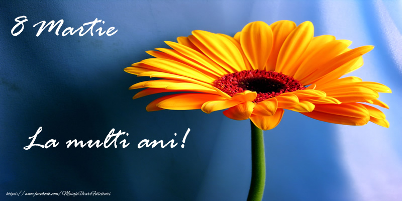 8 Martie La multi ani!