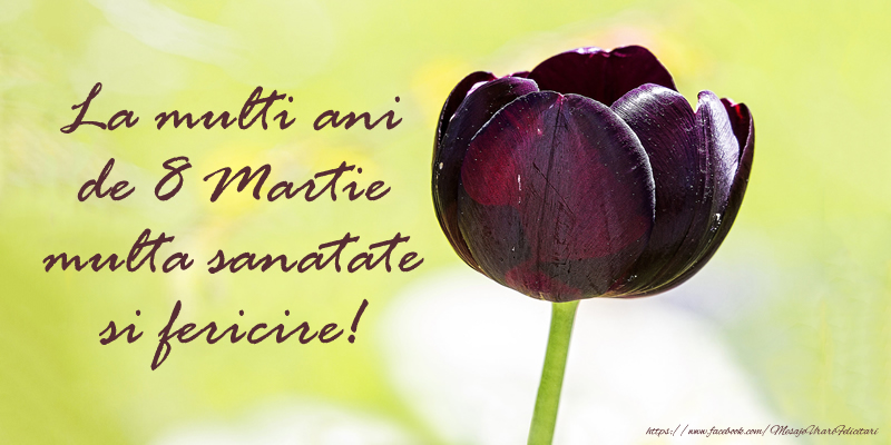 La multi ani de 8 Martie multa sanatate si fericire!