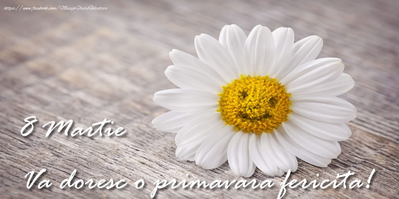 Va doresc o primavara fericita!