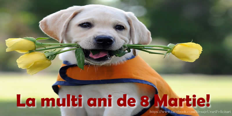 La multi ani de 8 Martie!