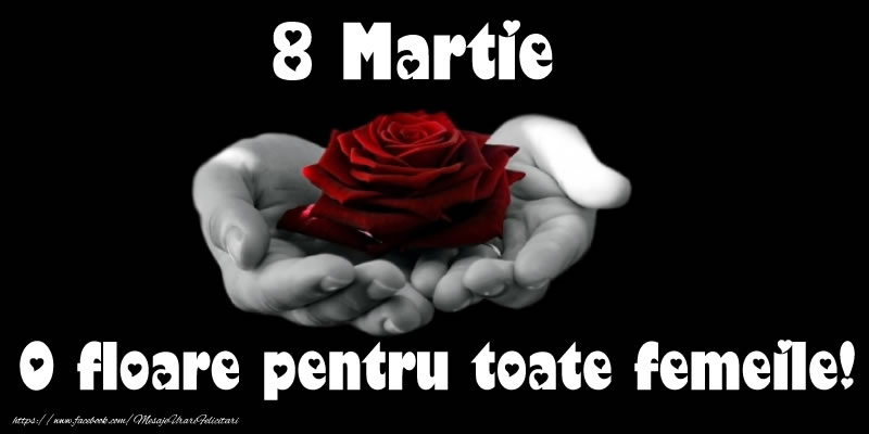 8 Martie O floare pentru toate femeile!