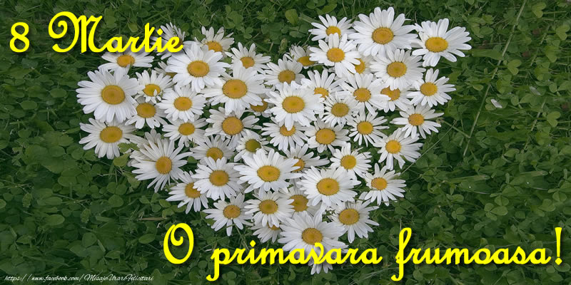 O primavara frumoasa! 8 Martie