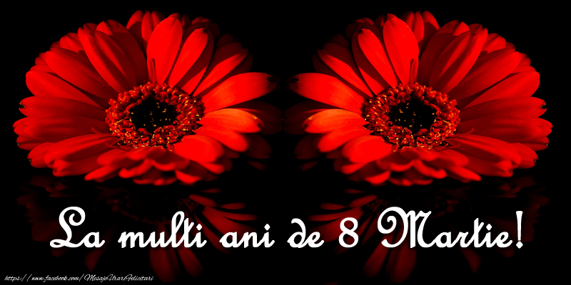 La multi ani de 8 Martie!