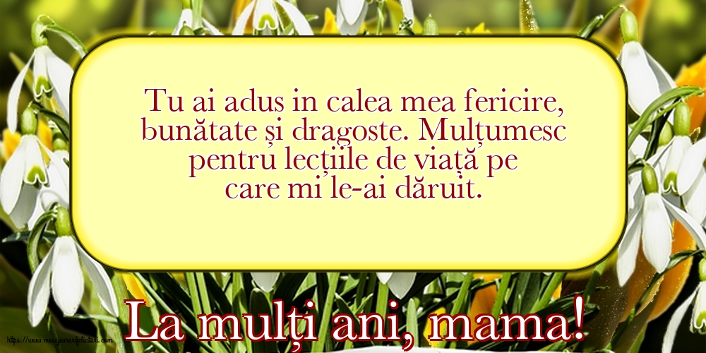 8 Martie La mulți ani, mama!