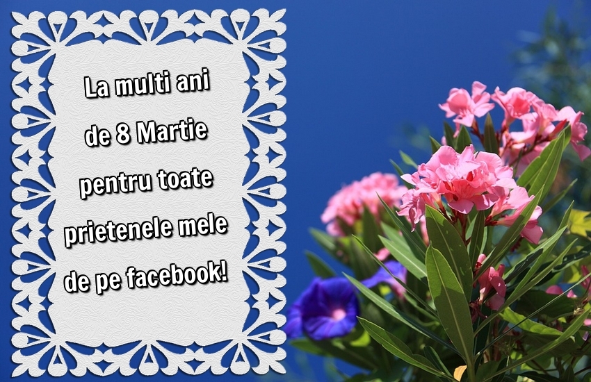 La multi ani de 8 Martie pentru toate prietenele mele de pe facebook!