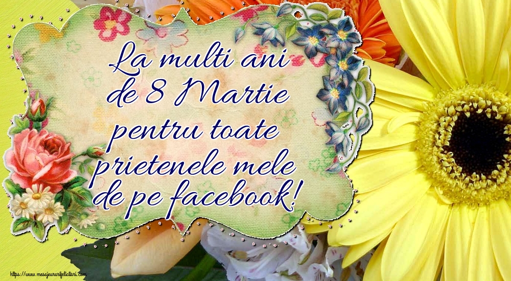 Felicitari de 8 Martie - La multi ani de 8 Martie pentru toate prietenele mele de pe facebook! - mesajeurarifelicitari.com