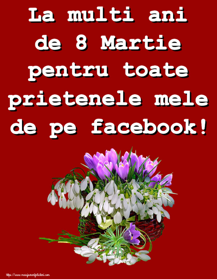 Felicitari de 8 Martie - 💮💮 La multi ani de 8 Martie pentru toate prietenele mele de pe facebook! ~ ghiocei și brândușe în coș - mesajeurarifelicitari.com