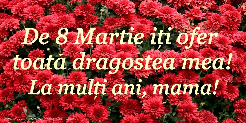 8 Martie 8 Martie Fericit!