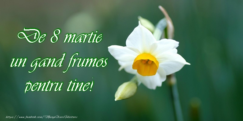 8 Martie Fericit!