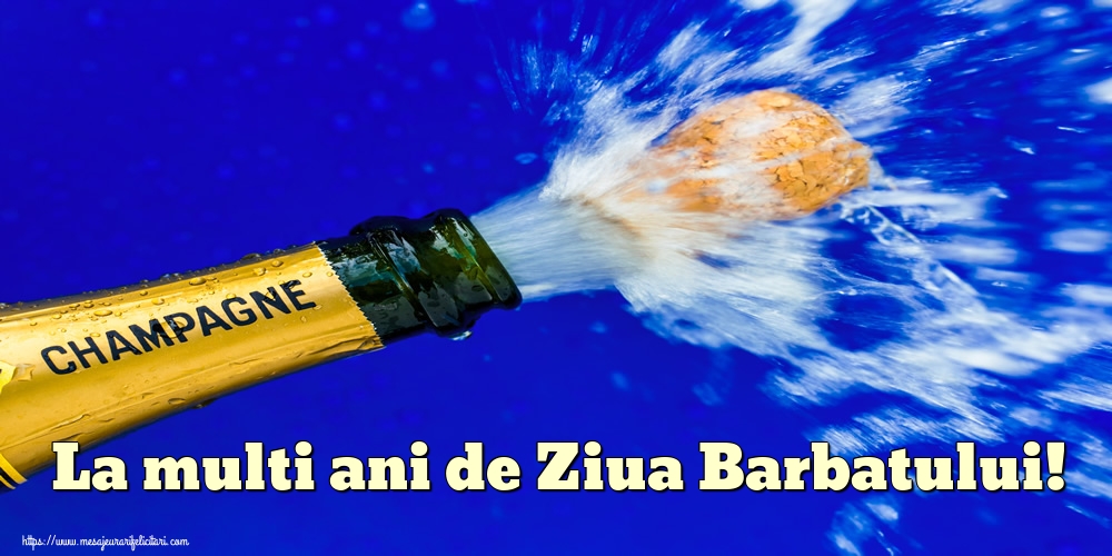 La multi ani de Ziua Barbatului!