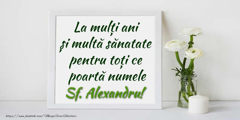 La multi ani  si multa sanatate pentru toti ce poarta numele Sf. Alexandru!