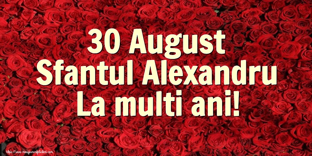 30 August Sfantul Alexandru La multi ani!