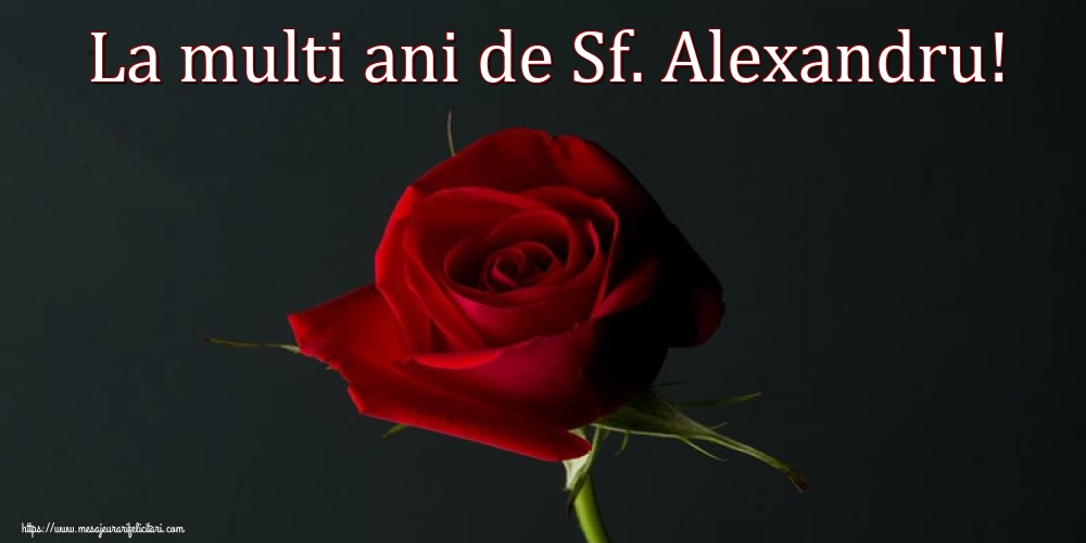 Sfantul Alexandru La multi ani de Sf. Alexandru!