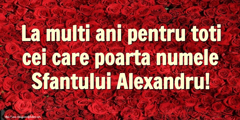 Felicitari de Sfantul Alexandru - La multi ani pentru toti cei care poarta numele Sfantului Alexandru! - mesajeurarifelicitari.com