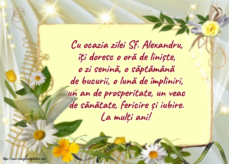 Sfantul Alexandru La mulți ani!