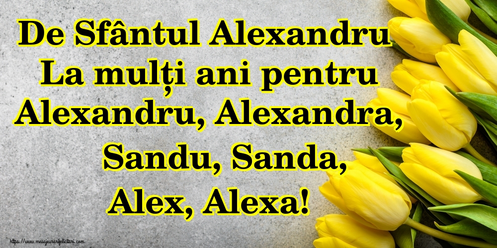 De Sfântul Alexandru La mulți ani pentru Alexandru, Alexandra, Sandu, Sanda, Alex, Alexa!
