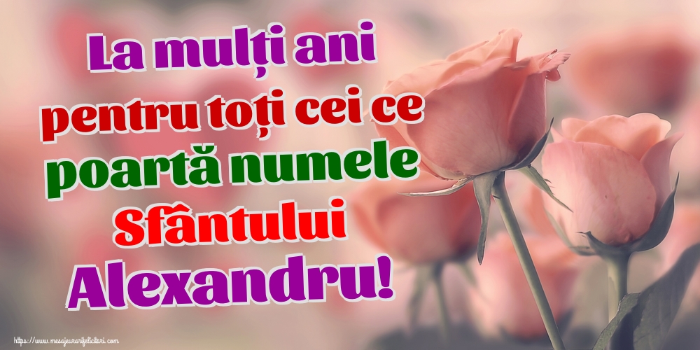 La mulți ani pentru toți cei ce poartă numele Sfântului Alexandru!