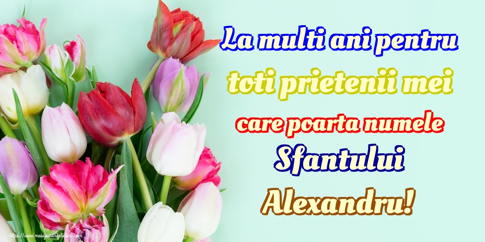 Felicitari de Sfantul Alexandru - La multi ani pentru toti prietenii mei care poarta numele Sfantului Alexandru! - mesajeurarifelicitari.com