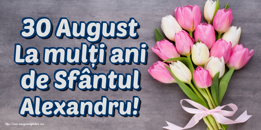 30 August La mulți ani de Sfântul Alexandru!
