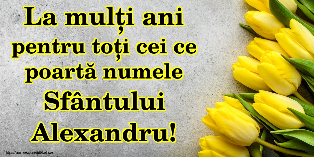 La mulți ani pentru toți cei ce poartă numele Sfântului Alexandru!