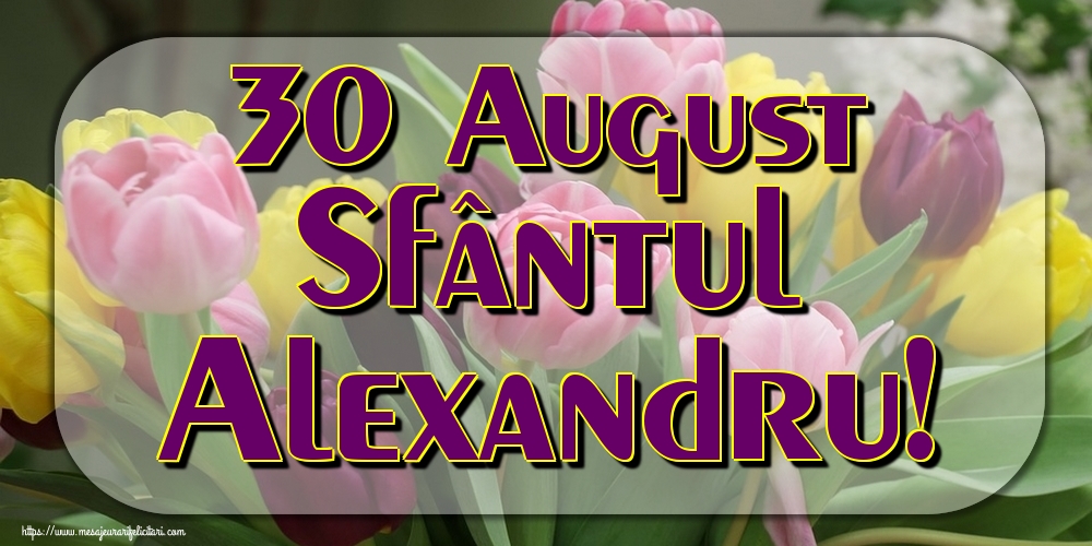 30 August Sfântul Alexandru!