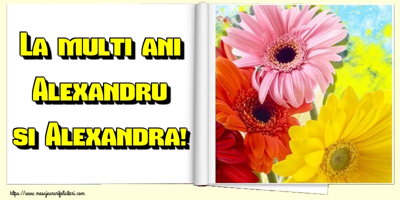 La multi ani Alexandru si Alexandra!