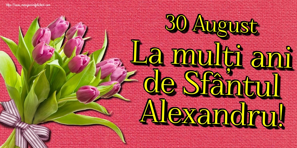 30 August La mulți ani de Sfântul Alexandru!