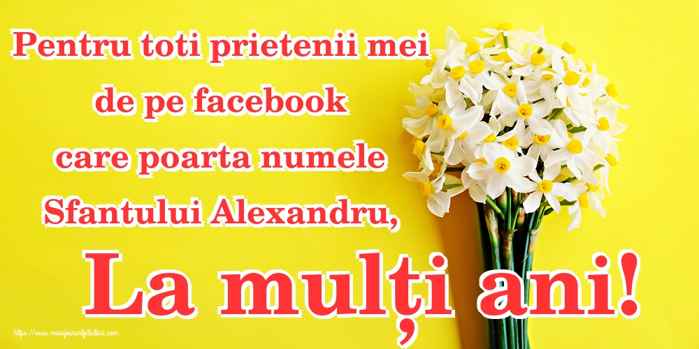 Pentru toti prietenii mei de pe facebook care poarta numele Sfantului Alexandru, La mulți ani!