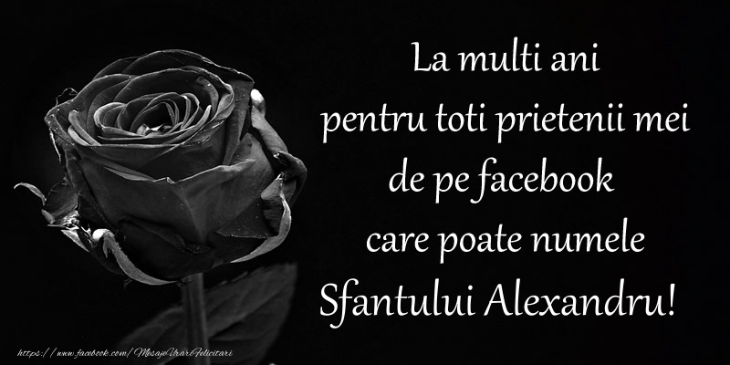 Felicitari de Sfantul Alexandru - La multi ani pentru toti prietenii mei de pe facebook care poate numele Sfantului Alexandru! - mesajeurarifelicitari.com