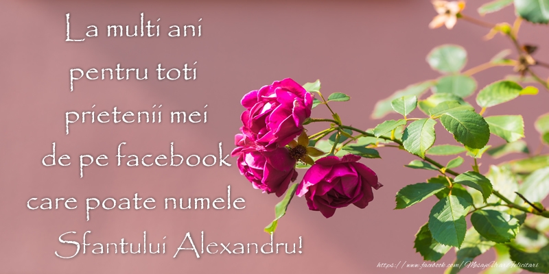 Felicitari de Sfantul Alexandru - La multi ani pentru toti prietenii mei de pe facebook care poate numele Sfantului Alexandru! - mesajeurarifelicitari.com