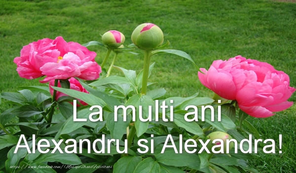 Felicitari de Sfantul Alexandru - La multi ani Alexandru si Alexandra! - mesajeurarifelicitari.com