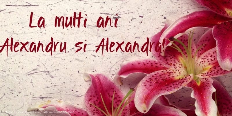 Felicitari de Sfantul Alexandru - La multi ani Alexandru si Alexandra! - mesajeurarifelicitari.com