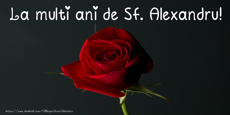 La multi ani de Sf. Alexandru!