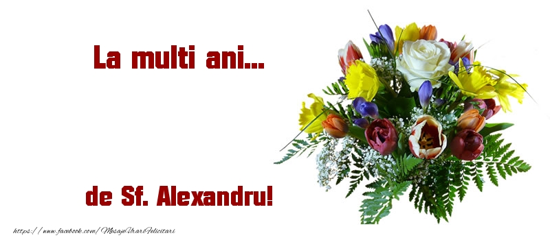 Felicitari de Sfantul Alexandru - La multi ani... de Sf. Alexandru! - mesajeurarifelicitari.com
