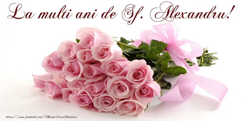 La multi ani de Sf. Alexandru!