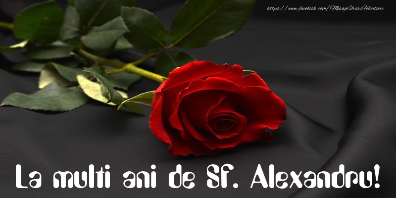 La multi ani de Sf. Alexandru!