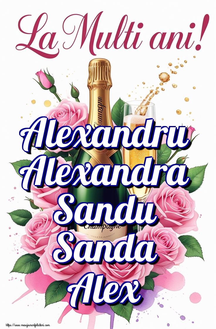 Alexandru Alexandra Sandu Sanda Alex