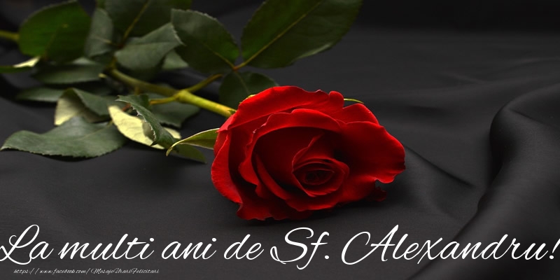 La multi ani de Sf. Alexandru!