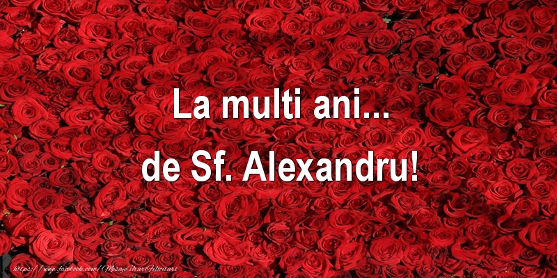 La multi ani... de Sf. Alexandru!