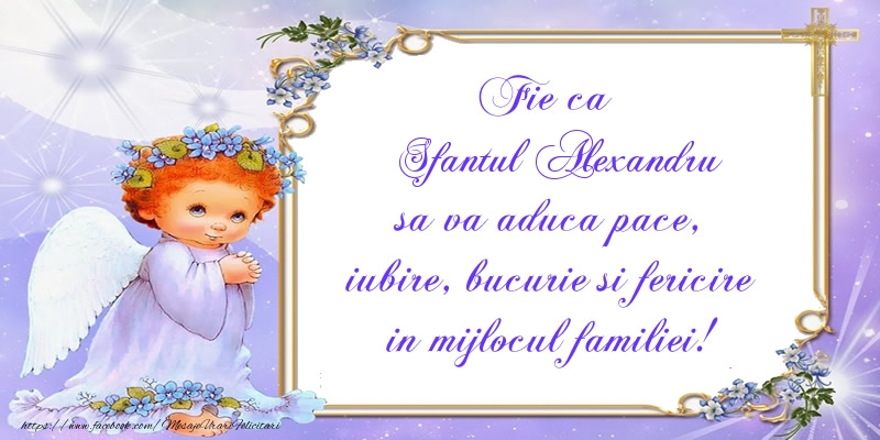 Fie ca Sfantul Alexandru sa va aduca pace, iubire, bucurie si fericire in mijlocul familiei!