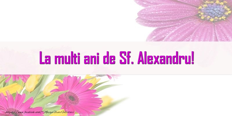 Felicitari de Sfantul Alexandru - La multi ani de Sf. Alexandru! - mesajeurarifelicitari.com