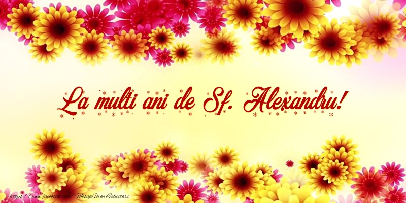 La multi ani de Sf. Alexandru!